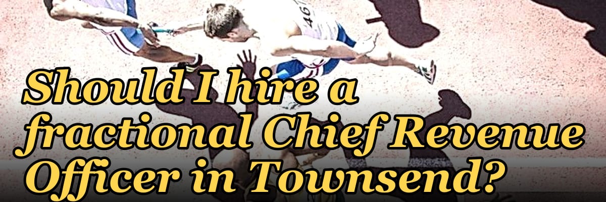 Should I hire a fractional Chief Revenue Officer in Townsend?