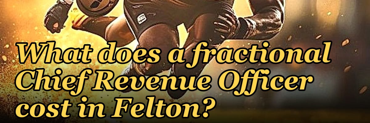 What does a fractional Chief Revenue Officer cost in Felton?