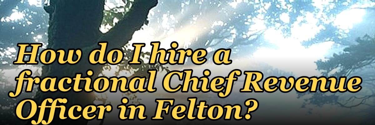 How do I hire a fractional Chief Revenue Officer in Felton?