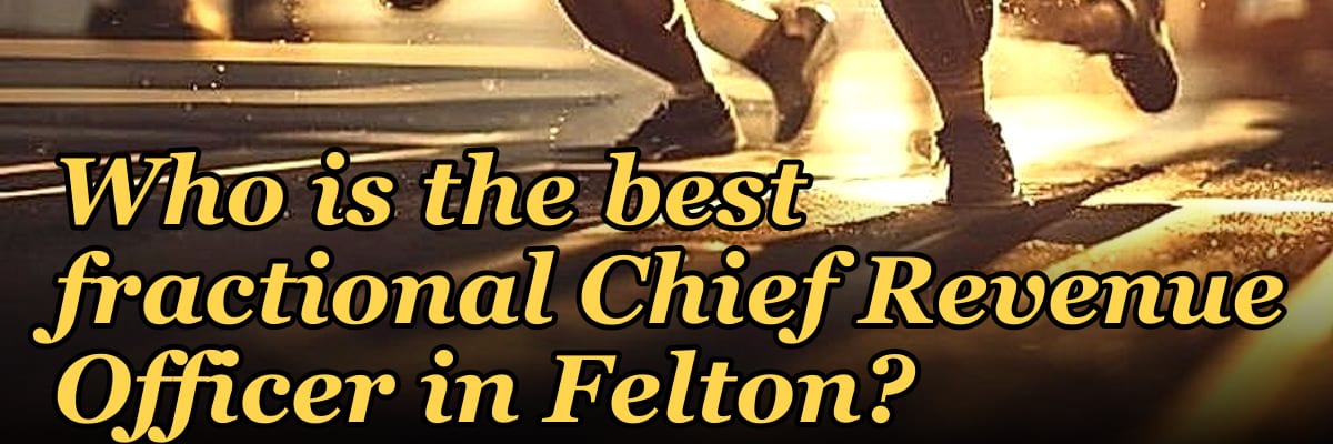 Who is the best fractional Chief Revenue Officer in Felton?