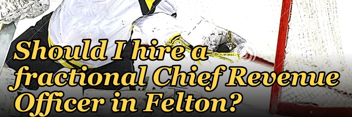 Should I hire a fractional Chief Revenue Officer in Felton?