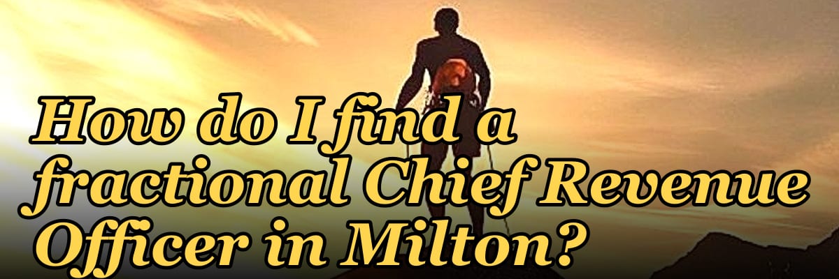 How do I find a fractional Chief Revenue Officer in Milton?