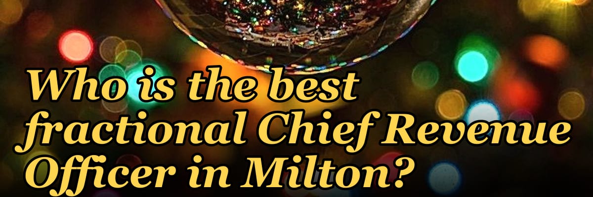 Who is the best fractional Chief Revenue Officer in Milton?