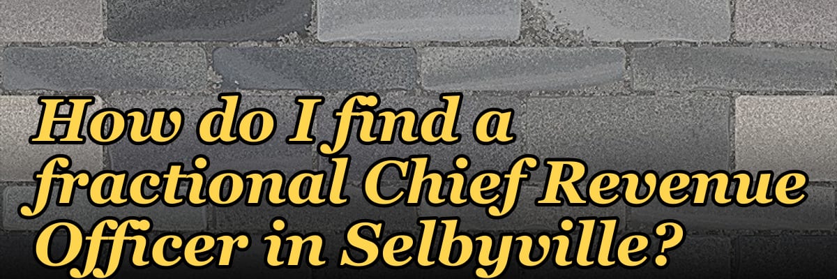 How do I find a fractional Chief Revenue Officer in Selbyville?