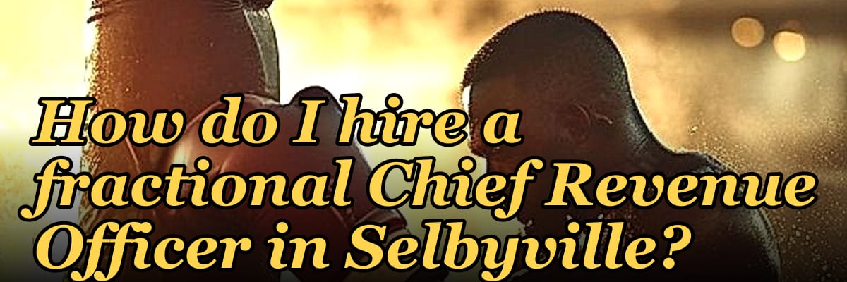 How do I hire a fractional Chief Revenue Officer in Selbyville?