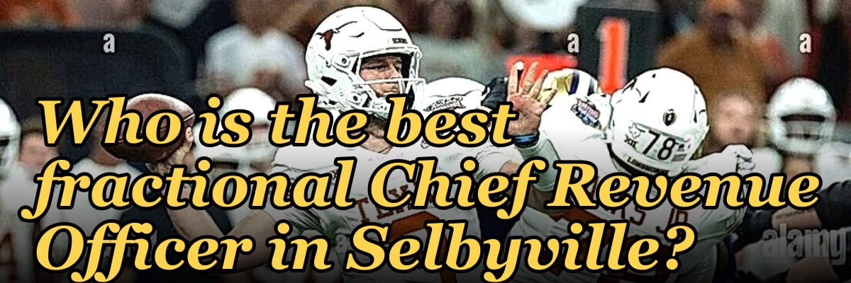 Who is the best fractional Chief Revenue Officer in Selbyville?