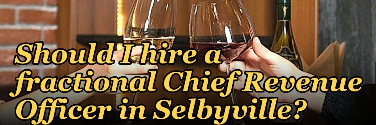 Should I hire a fractional Chief Revenue Officer in Selbyville?