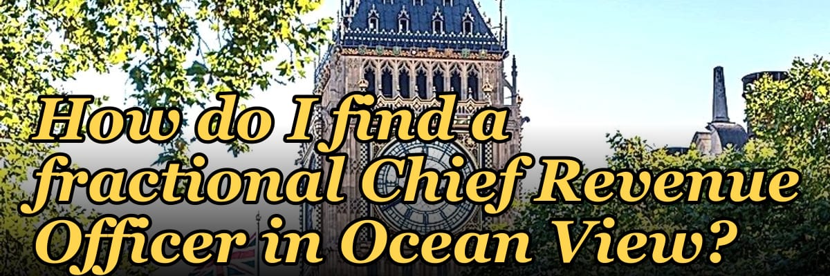 How do I find a fractional Chief Revenue Officer in Ocean View?