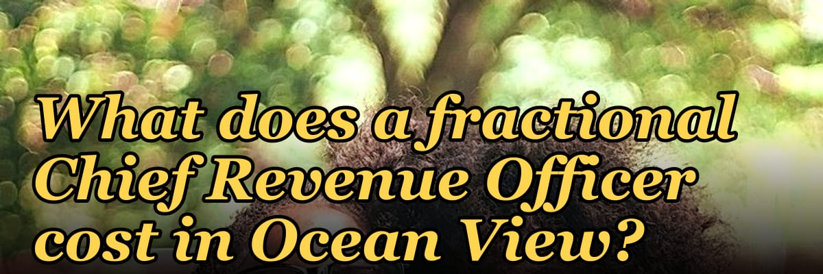 What does a fractional Chief Revenue Officer cost in Ocean View?