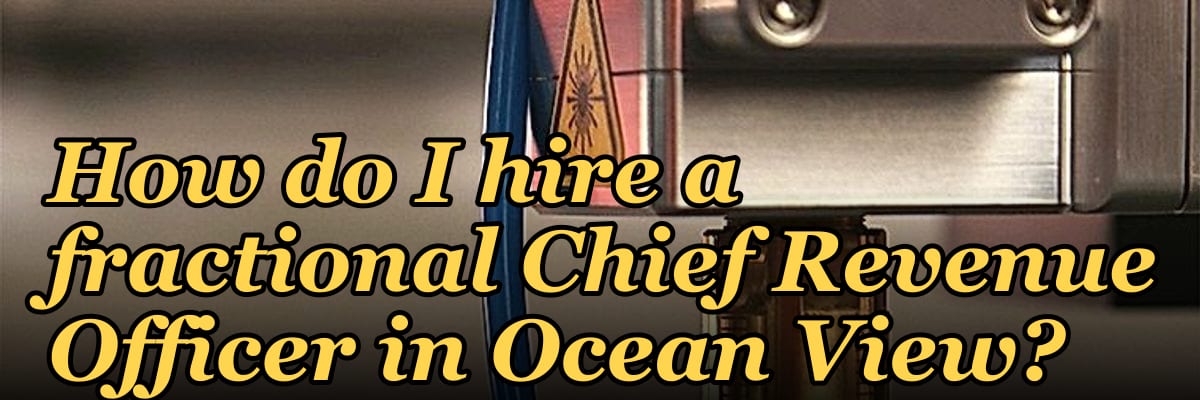 How do I hire a fractional Chief Revenue Officer in Ocean View?
