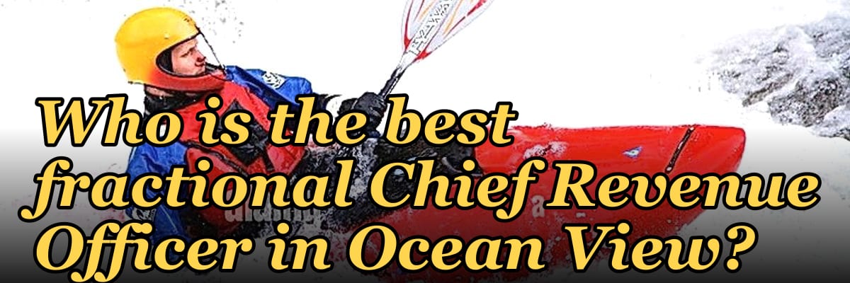 Who is the best fractional Chief Revenue Officer in Ocean View?