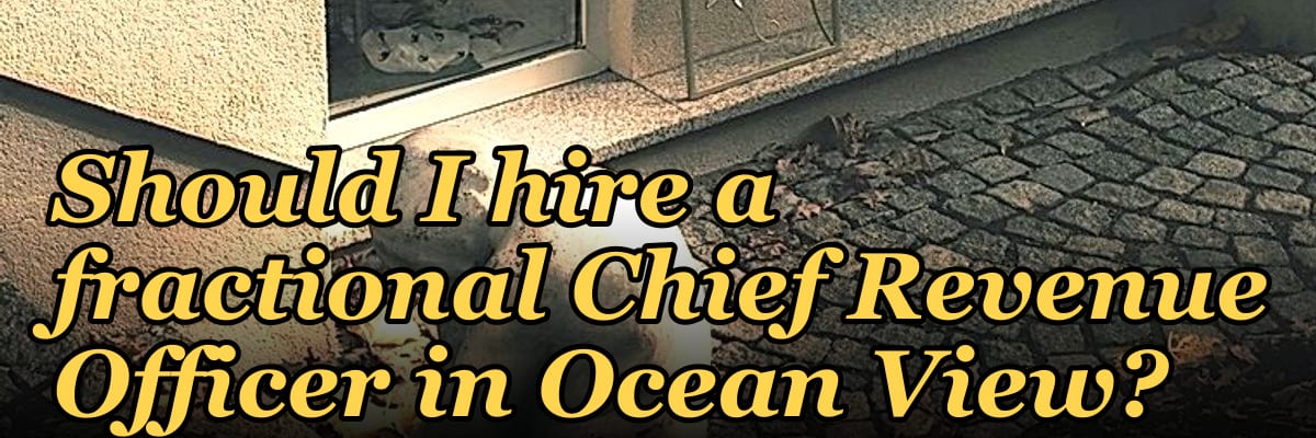Should I hire a fractional Chief Revenue Officer in Ocean View?