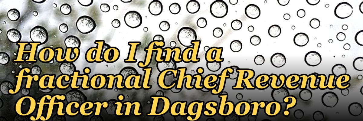 How do I find a fractional Chief Revenue Officer in Dagsboro?