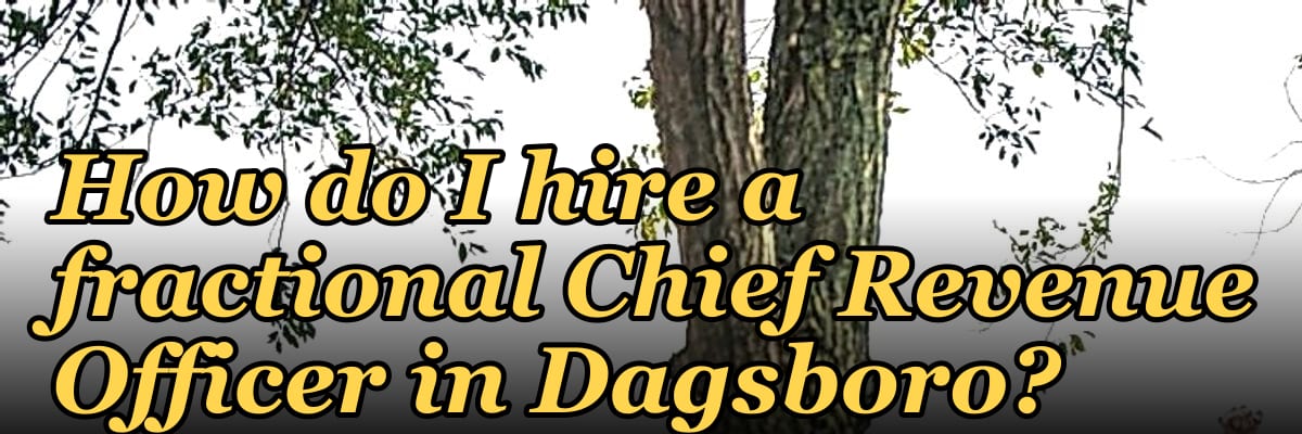 How do I hire a fractional Chief Revenue Officer in Dagsboro?