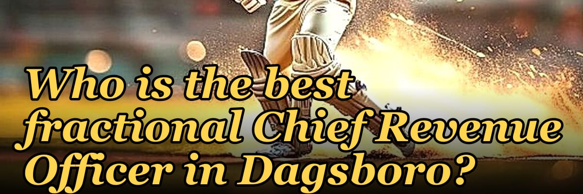 Who is the best fractional Chief Revenue Officer in Dagsboro?