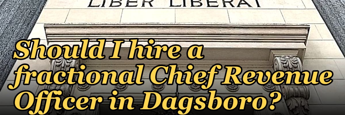 Should I hire a fractional Chief Revenue Officer in Dagsboro?