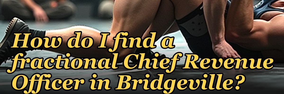 How do I find a fractional Chief Revenue Officer in Bridgeville?