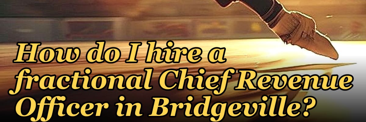 How do I hire a fractional Chief Revenue Officer in Bridgeville?