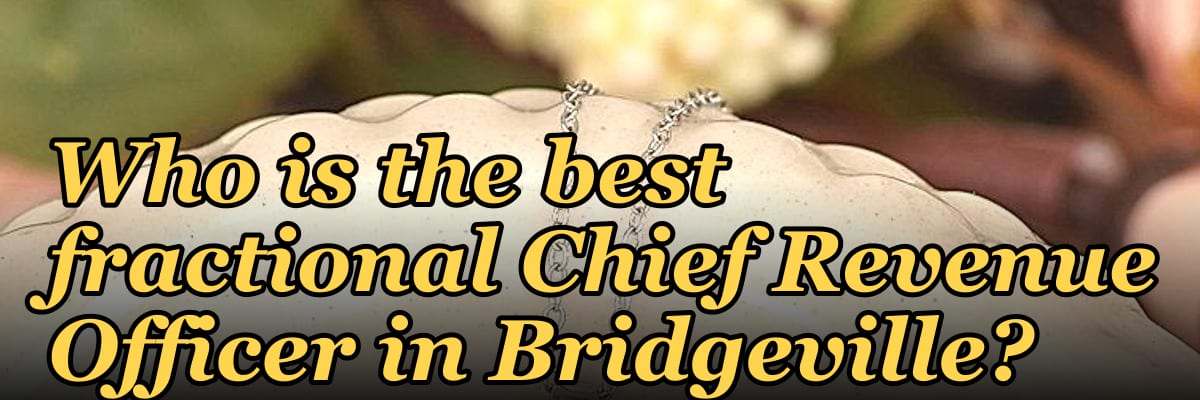 Who is the best fractional Chief Revenue Officer in Bridgeville?