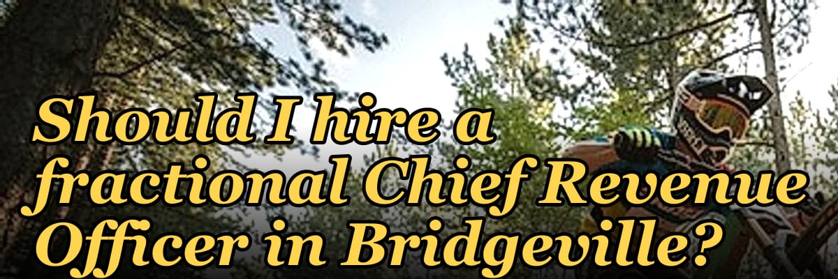 Should I hire a fractional Chief Revenue Officer in Bridgeville?