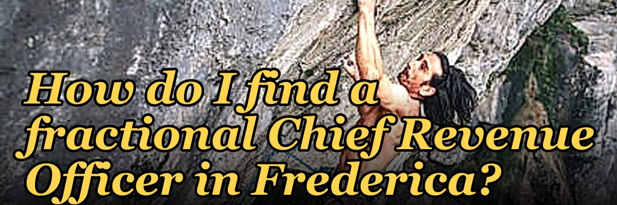 How do I find a fractional Chief Revenue Officer in Frederica?