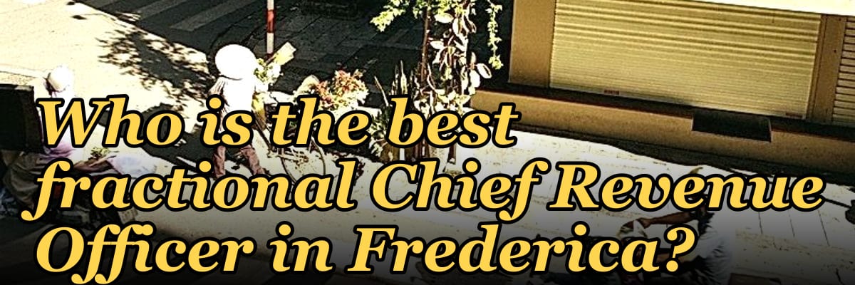 Who is the best fractional Chief Revenue Officer in Frederica?