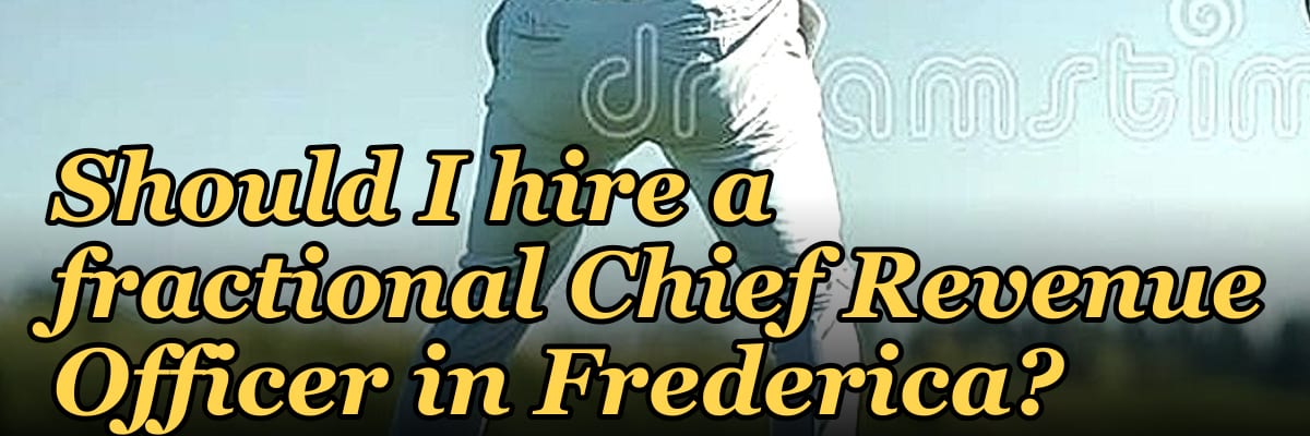 Should I hire a fractional Chief Revenue Officer in Frederica?