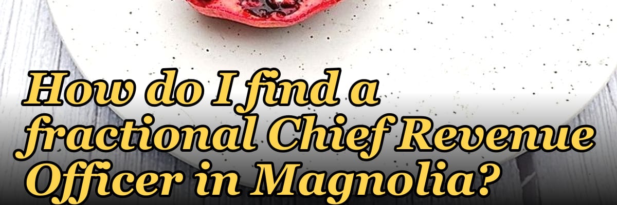 How do I find a fractional Chief Revenue Officer in Magnolia?
