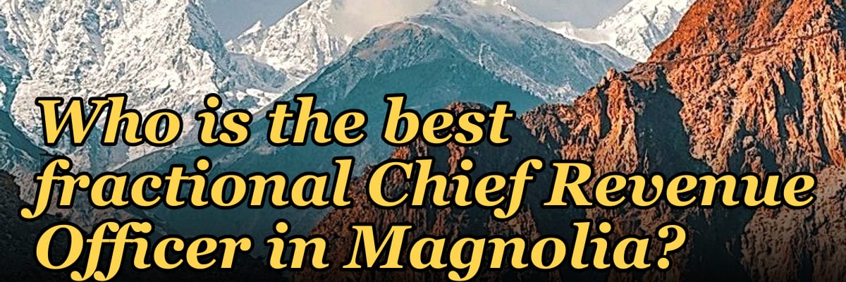 Who is the best fractional Chief Revenue Officer in Magnolia?