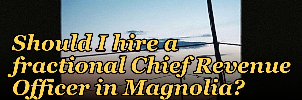 Should I hire a fractional Chief Revenue Officer in Magnolia?