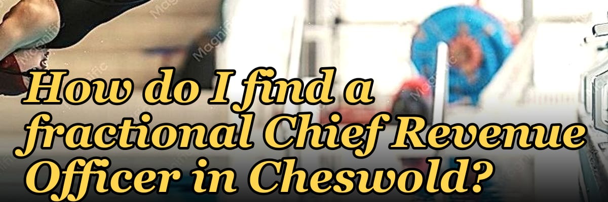 How do I find a fractional Chief Revenue Officer in Cheswold?