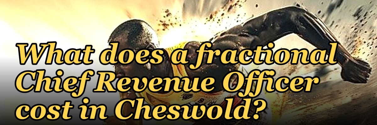 What does a fractional Chief Revenue Officer cost in Cheswold?
