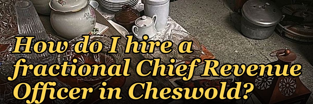 How do I hire a fractional Chief Revenue Officer in Cheswold?