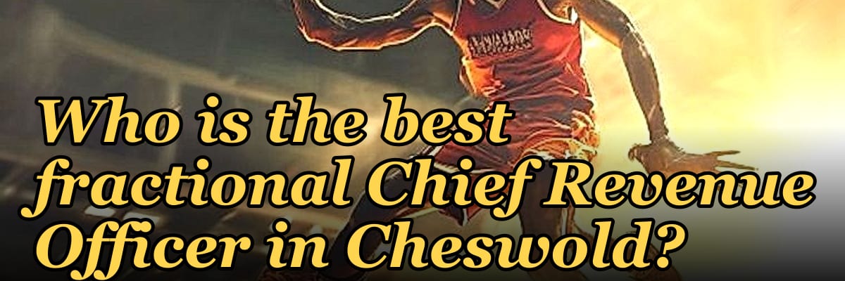 Who is the best fractional Chief Revenue Officer in Cheswold?