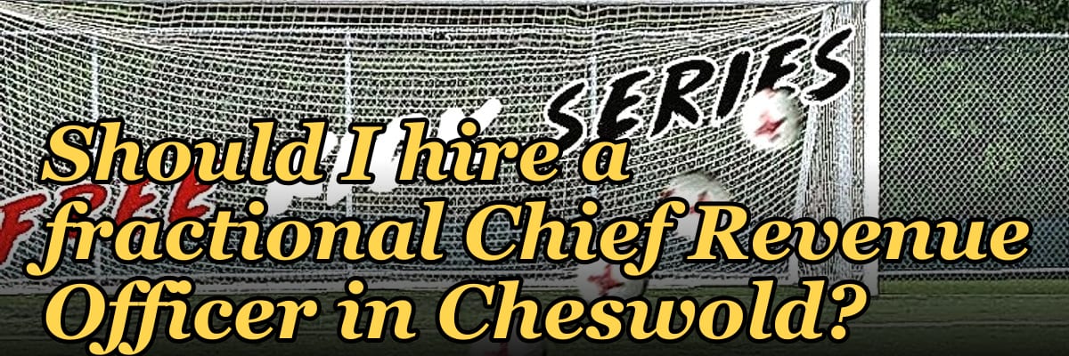 Should I hire a fractional Chief Revenue Officer in Cheswold?