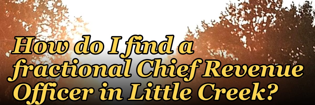 How do I find a fractional Chief Revenue Officer in Little Creek?