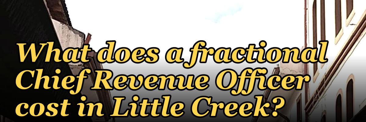 What does a fractional Chief Revenue Officer cost in Little Creek?