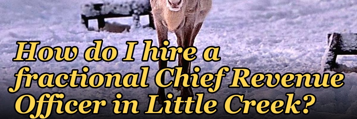 How do I hire a fractional Chief Revenue Officer in Little Creek?