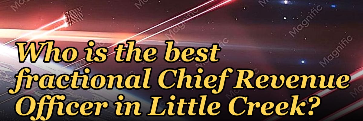 Who is the best fractional Chief Revenue Officer in Little Creek?