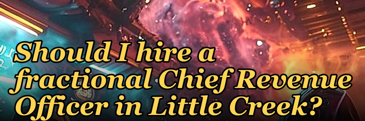 Should I hire a fractional Chief Revenue Officer in Little Creek?