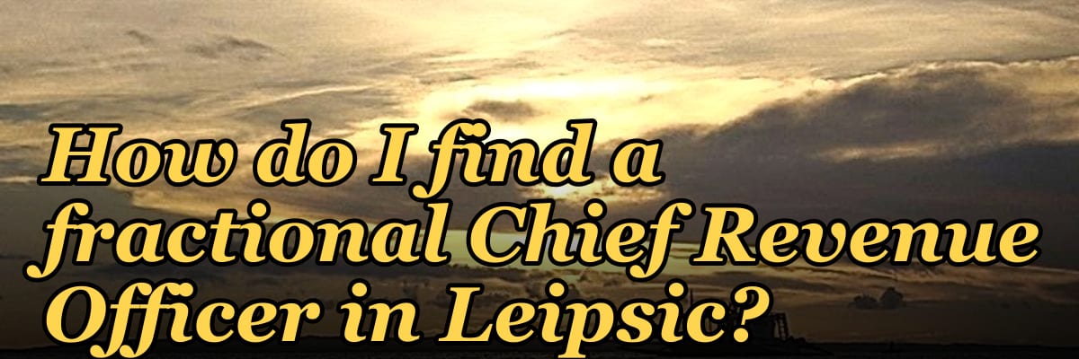 How do I find a fractional Chief Revenue Officer in Leipsic?