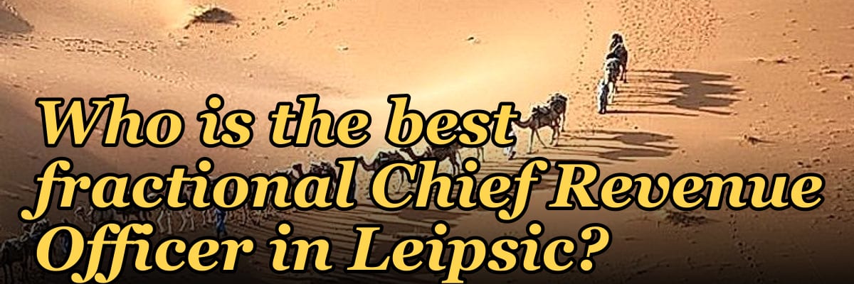 Who is the best fractional Chief Revenue Officer in Leipsic?