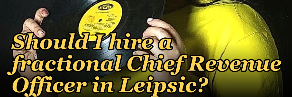 Should I hire a fractional Chief Revenue Officer in Leipsic?