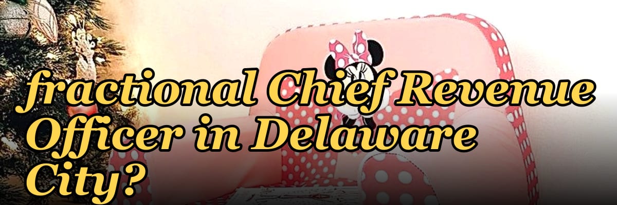 How do I find a fractional Chief Revenue Officer in Delaware City?
