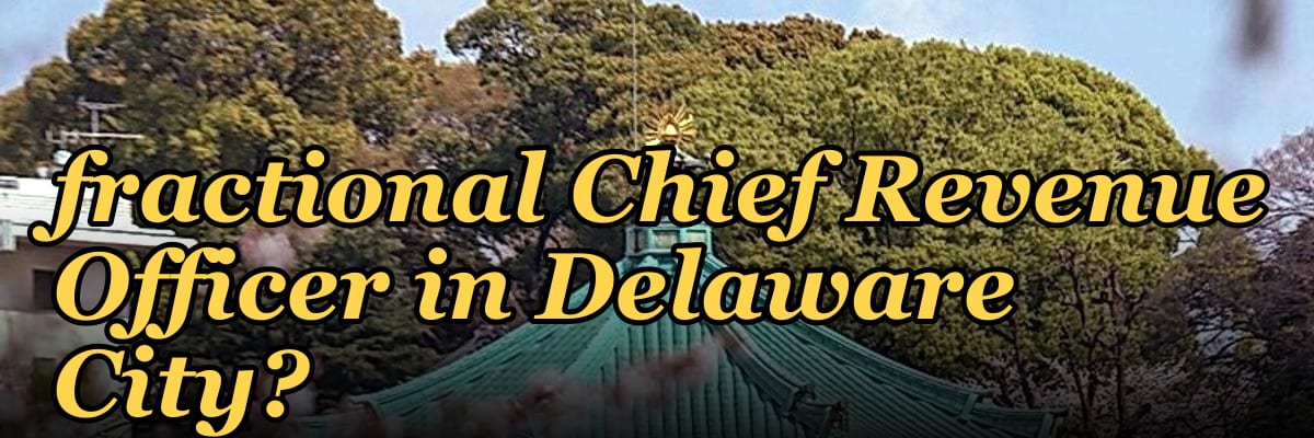 How do I hire a fractional Chief Revenue Officer in Delaware City?