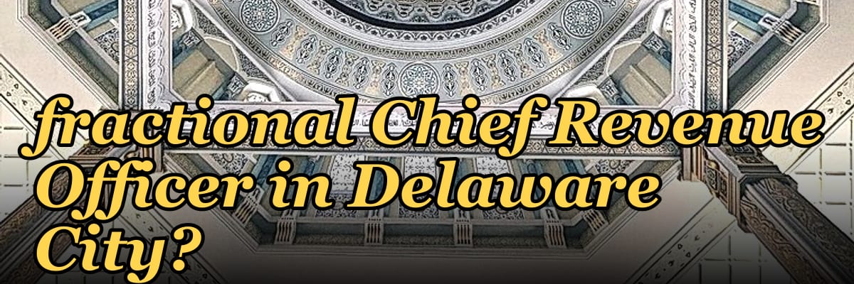 Who is the best fractional Chief Revenue Officer in Delaware City?
