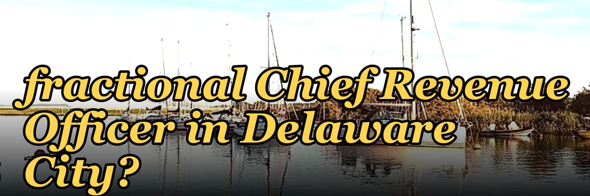 Should I hire a fractional Chief Revenue Officer in Delaware City?