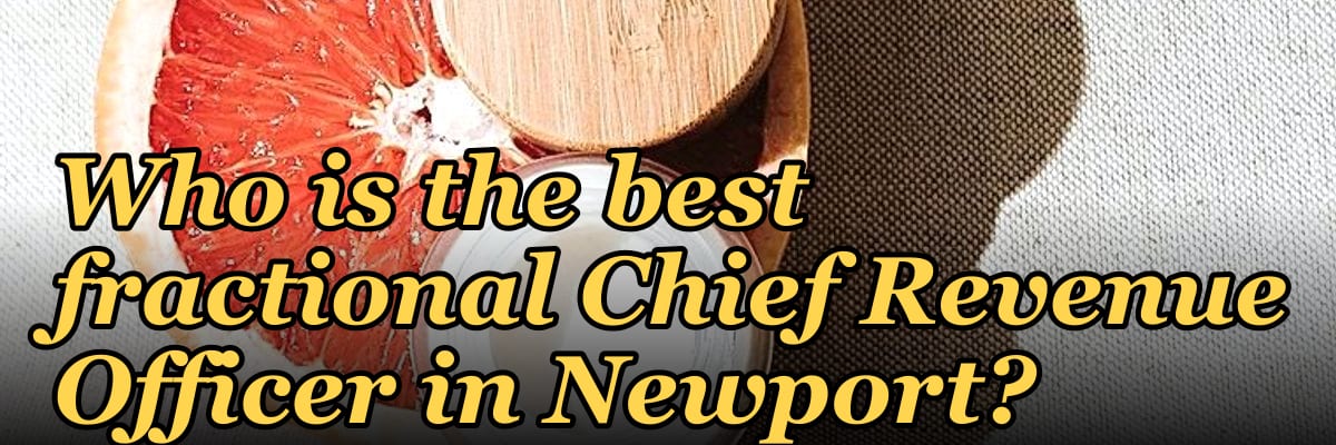 Who is the best fractional Chief Revenue Officer in Newport?