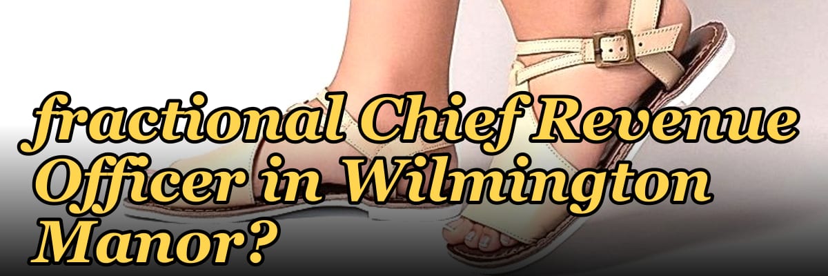 Who is the best fractional Chief Revenue Officer in Wilmington Manor?