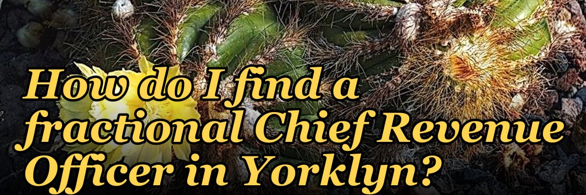 How do I find a fractional Chief Revenue Officer in Yorklyn?